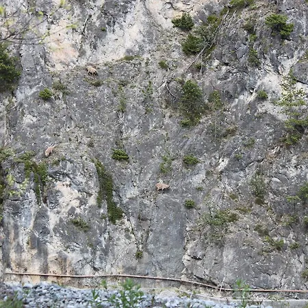 דירה Al Bait De Gio *